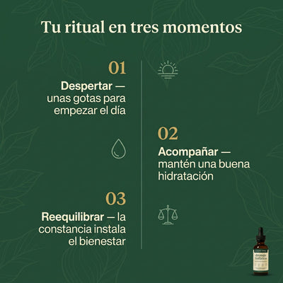 Silvara – Gotas Botánicas Naturales