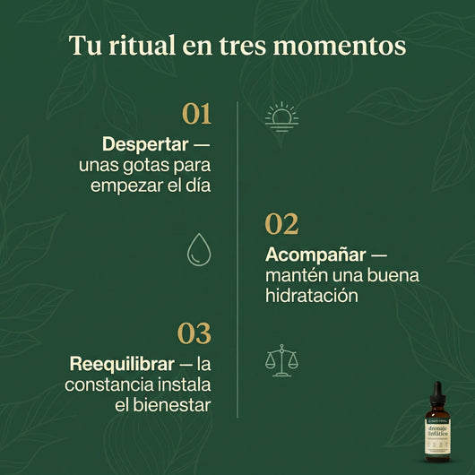 Silvara – Gotas Botánicas Naturales