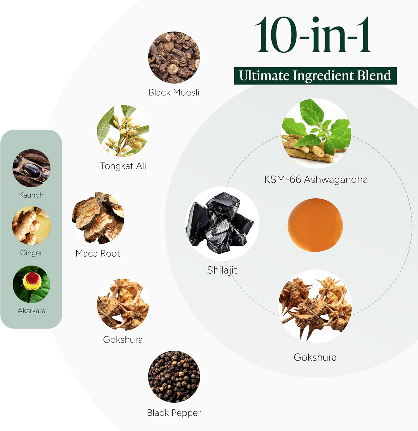 Raise Testosterone the Natural Way — Feel a Difference in 7 Days